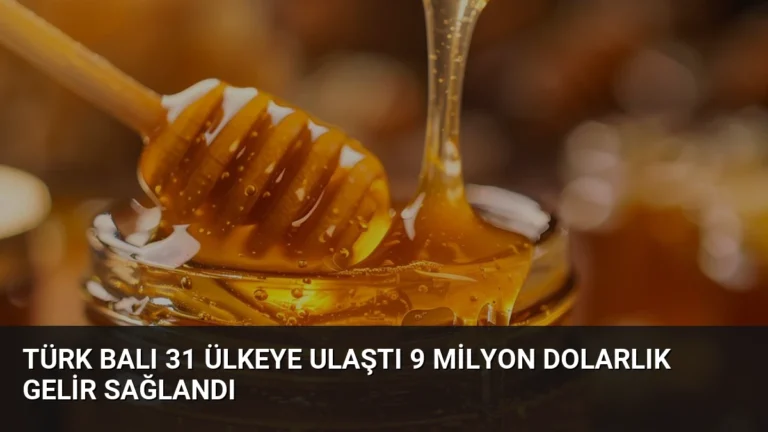 Türk Balı 31 Ülkeye Ulaştı 9 Milyon Dolarlık Gelir Sağlandı