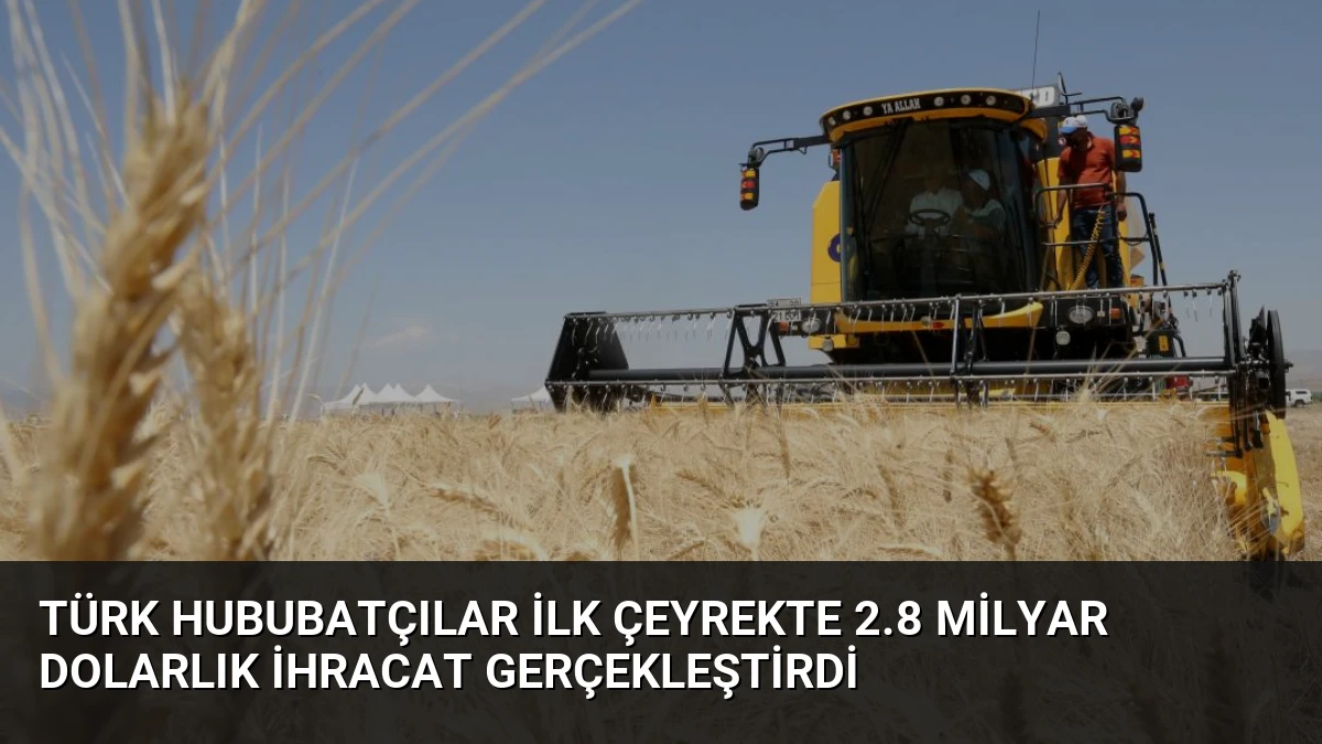 Türk Hububatçılar İlk Çeyrekte 2.8 Milyar Dolarlık İhracat Gerçekleştirdi