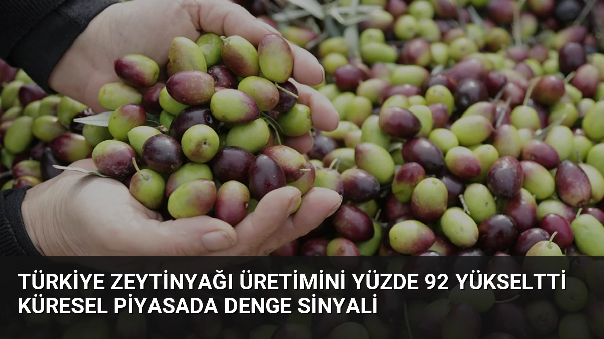 Türkiye zeytinyağı üretimini yüzde 92 yükseltti küresel piyasada denge sinyali