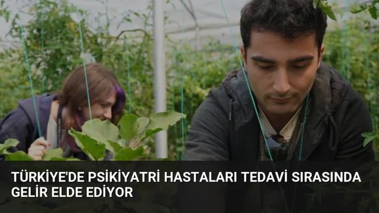 Türkiye’de Psikiyatri Hastaları Tedavi Sırasında Gelir Elde Ediyor