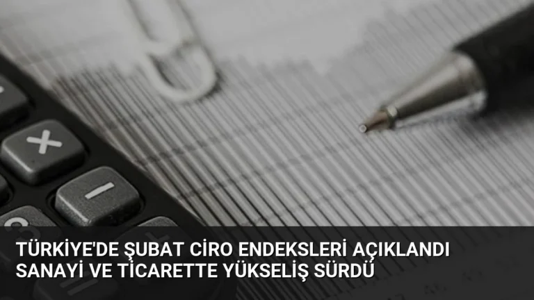 Türkiye’de Şubat Ciro Endeksleri Açıklandı Sanayi ve Ticarette Yükseliş Sürdü