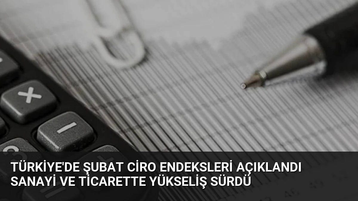 Türkiye’de Şubat Ciro Endeksleri Açıklandı Sanayi ve Ticarette Yükseliş Sürdü
