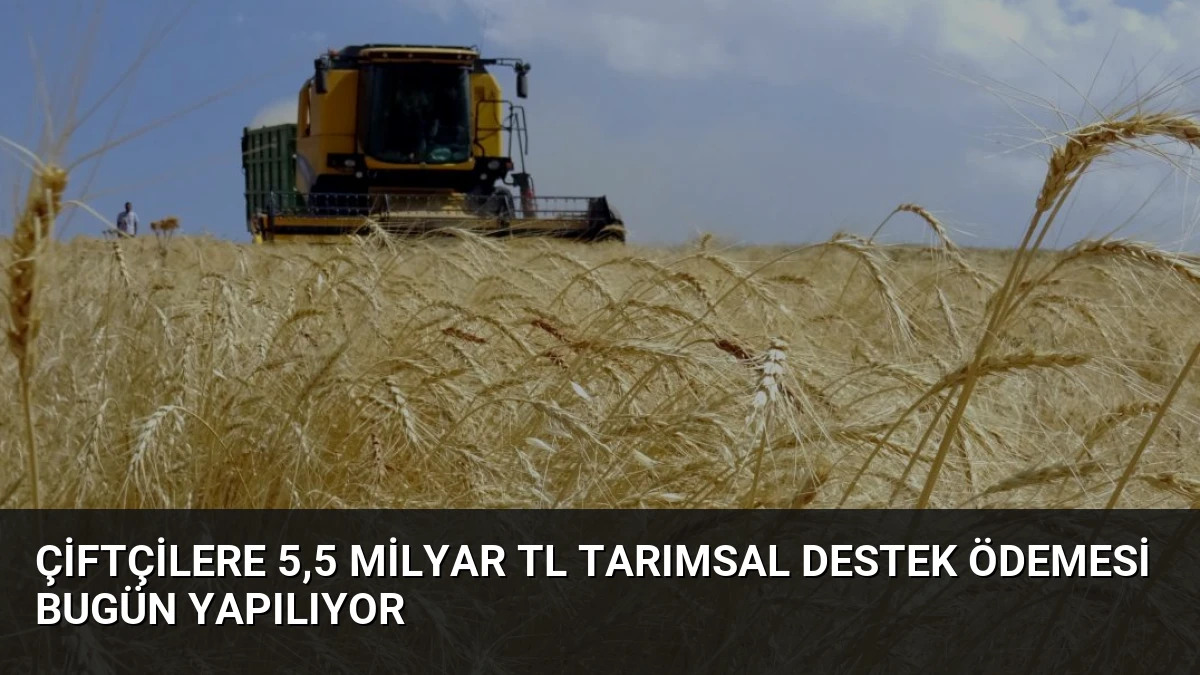 Çiftçilere 5,5 Milyar TL Tarımsal Destek Ödemesi Bugün Yapılıyor