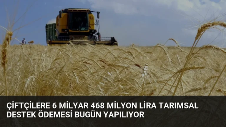 Çiftçilere 6 Milyar 468 Milyon Lira Tarımsal Destek Ödemesi Bugün Yapılıyor
