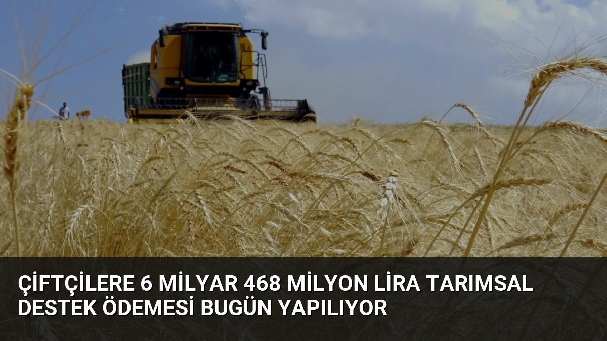 Çiftçilere 6 Milyar 468 Milyon Lira Tarımsal Destek Ödemesi Bugün Yapılıyor