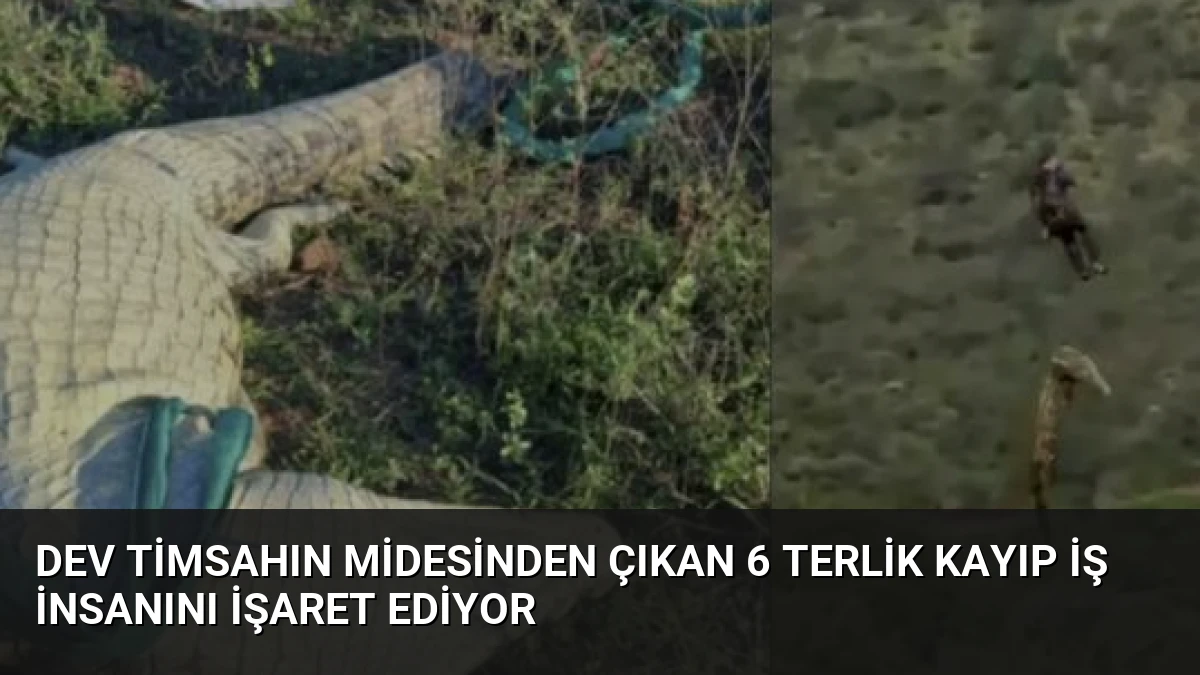 Dev Timsahın Midesinden Çıkan 6 Terlik Kayıp İş İnsanını İşaret Ediyor