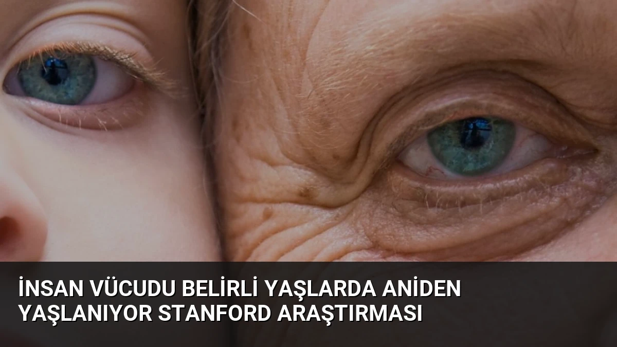 İnsan Vücudu Belirli Yaşlarda Aniden Yaşlanıyor Stanford Araştırması