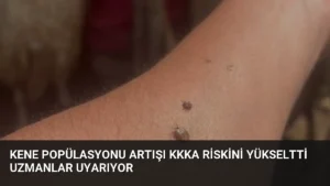 Kene Popülasyonu Artışı KKKA Riskini Yükseltti Uzmanlar Uyarıyor