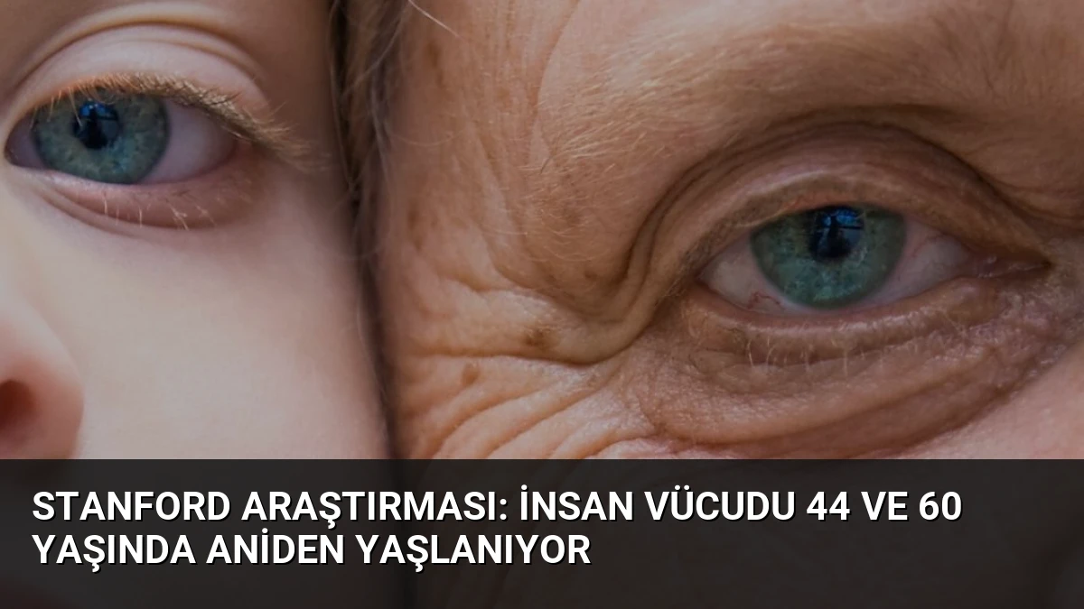 Stanford Araştırması: İnsan Vücudu 44 ve 60 Yaşında Aniden Yaşlanıyor