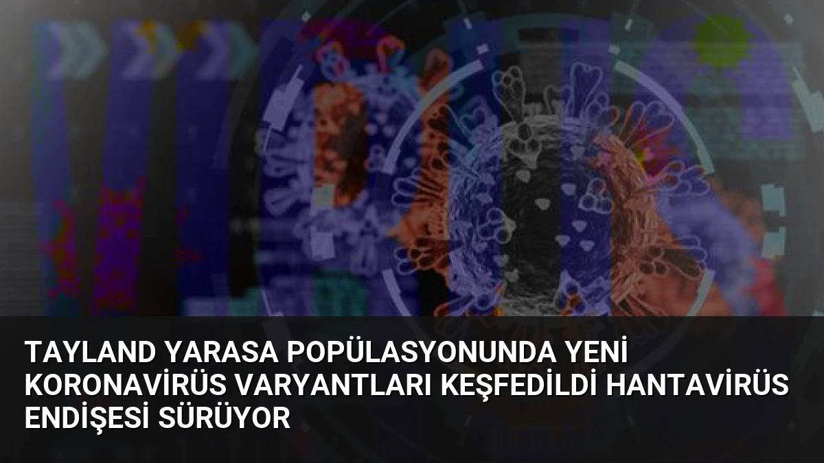 Tayland Yarasa Popülasyonunda Yeni Koronavirüs Varyantları Keşfedildi Hantavirüs Endişesi Sürüyor
