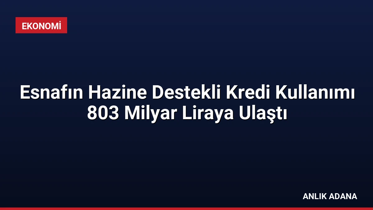 Esnafın Hazine Destekli Kredi Kullanımı 803 Milyar Liraya Ulaştı