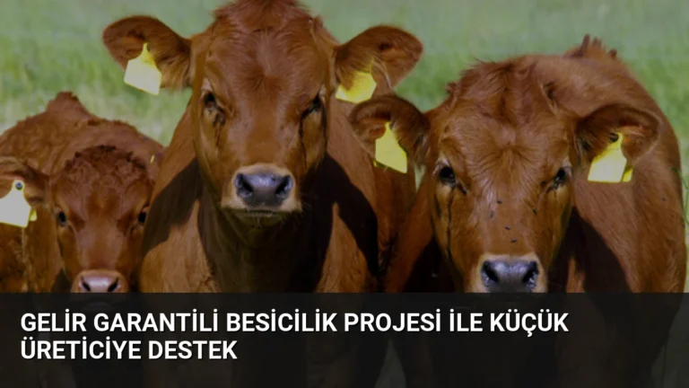 Gelir Garantili Besicilik Projesi ile Küçük Üreticiye Destek