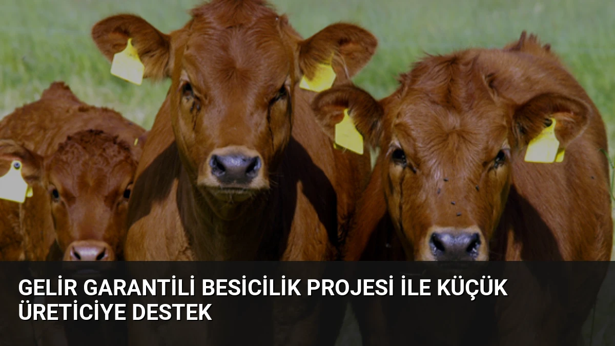 Gelir Garantili Besicilik Projesi ile Küçük Üreticiye Destek