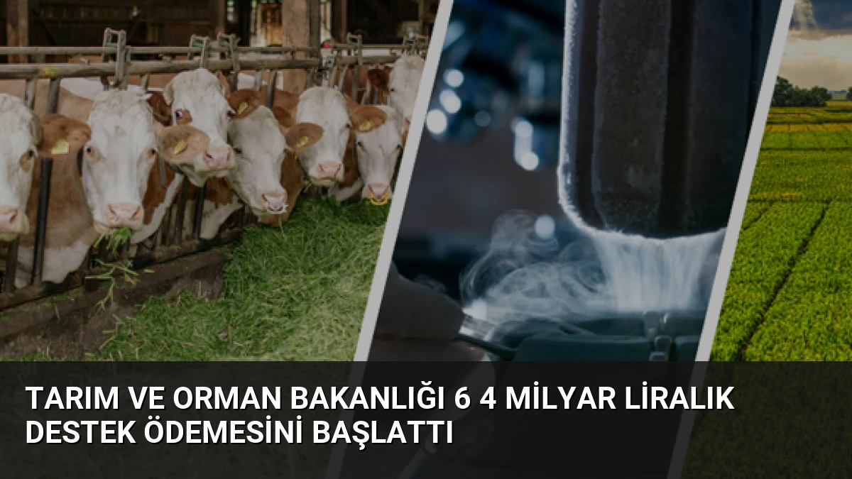 Tarım ve Orman Bakanlığı 6 4 Milyar Liralık Destek Ödemesini Başlattı