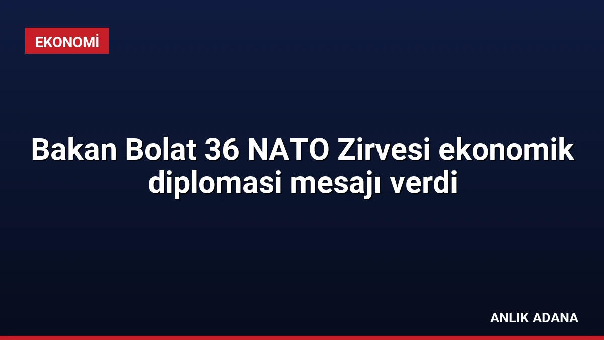 Bakan Bolat 36 NATO Zirvesi ekonomik diplomasi mesajı verdi