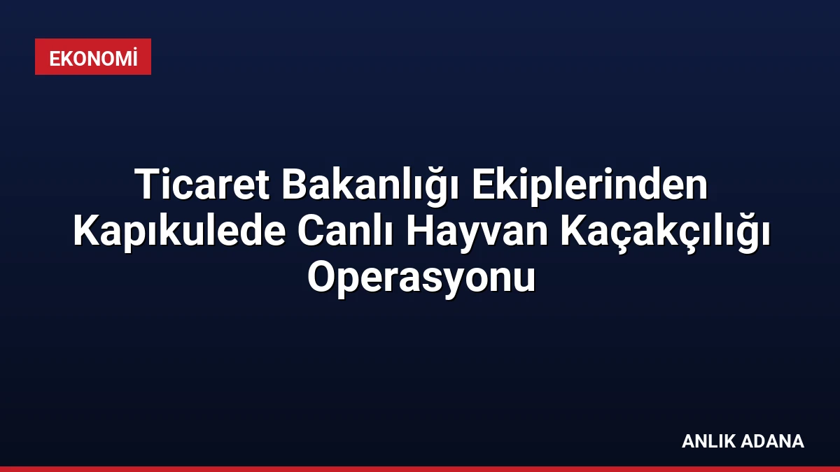 Ticaret Bakanlığı Ekiplerinden Kapıkulede Canlı Hayvan Kaçakçılığı Operasyonu