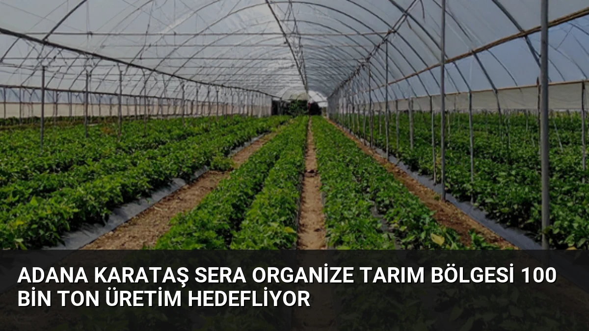 Adana Karataş Sera Organize Tarım Bölgesi 100 Bin Ton Üretim Hedefliyor