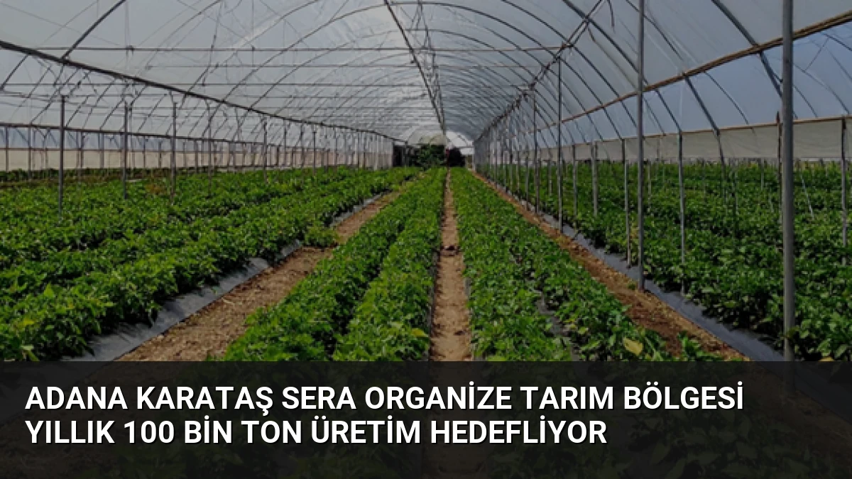 Adana Karataş Sera Organize Tarım Bölgesi Yıllık 100 Bin Ton Üretim Hedefliyor