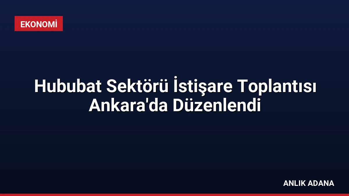 Hububat Sektörü İstişare Toplantısı Ankara’da Düzenlendi