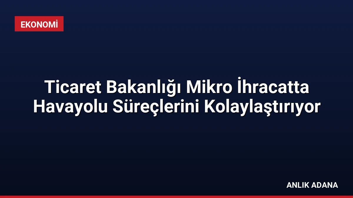 Ticaret Bakanlığı Mikro İhracatta Havayolu Süreçlerini Kolaylaştırıyor