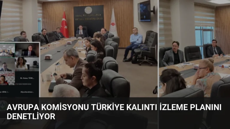 Avrupa Komisyonu Türkiye Kalıntı İzleme Planını Denetliyor