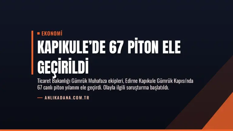 Kapıkule’de 67 Piton Ele Geçirildi