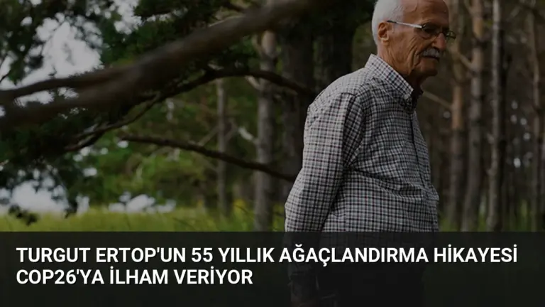 Turgut Ertop’un 55 Yıllık Ağaçlandırma Hikayesi COP26’ya İlham Veriyor
